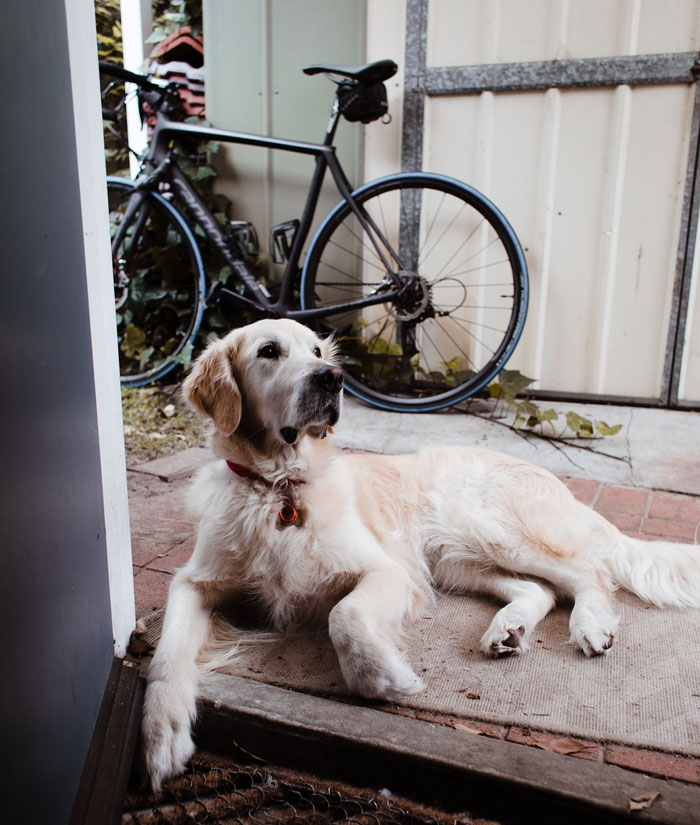 “Neighbor Doesn’t Like Me Using My Own Garden” “Neighbor Doesn’t Like Me Using My Own Garden”