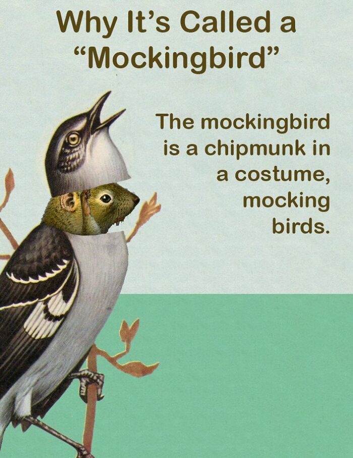 These Confusing ‘Science Facts’ Challenge Your Knowledge In A Hilarious Way These Confusing ‘Science Facts’ Challenge Your Knowledge In A Hilarious Way