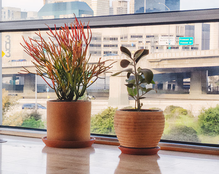 30 Weird Office Rules That Made People Say ‘You Gotta Be Kidding Me’ 30 Weird Office Rules That Made People Say ‘You Gotta Be Kidding Me’