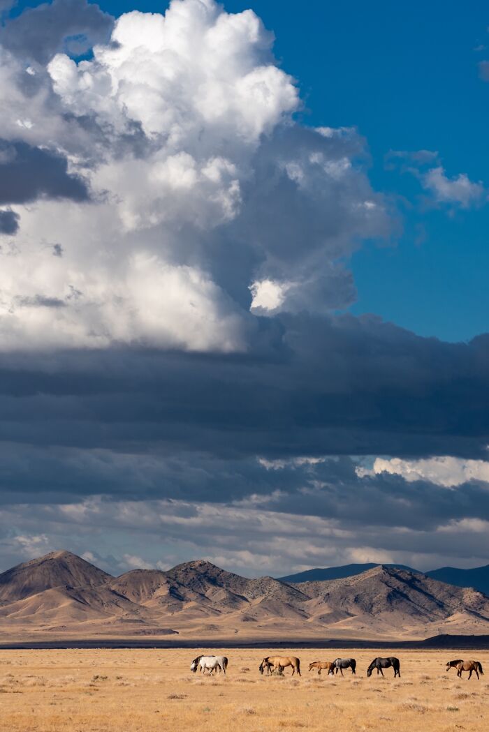 Hey Pandas, What’s The Best Cloud Photo You&#8217;ve Taken? (Closed)