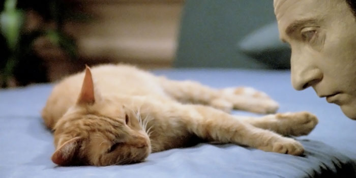 70 Star Trek Quotes To Help You Explore The Unknown 70 Star Trek Quotes To Help You Explore The Unknown