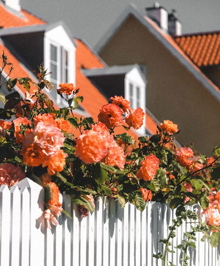 &ldquo;I Won&rdquo;: Woman Puts A Stop To Neighbor’s Kids Trashing The Sidewalk By Beating Them At Their Game