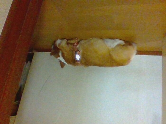 Hey Pandas, Show Us Your Favorite Spot (Closed) Hey Pandas, Show Us Your Favorite Spot (Closed)