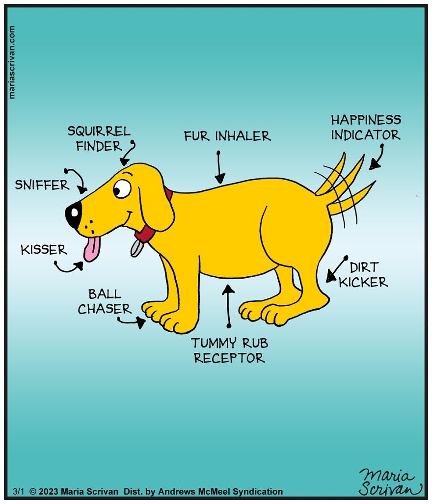 Lighthearted Comics: 30 Funny Situations Illustrated By This Artist (New Pics) Lighthearted Comics: 30 Funny Situations Illustrated By This Artist (New Pics)