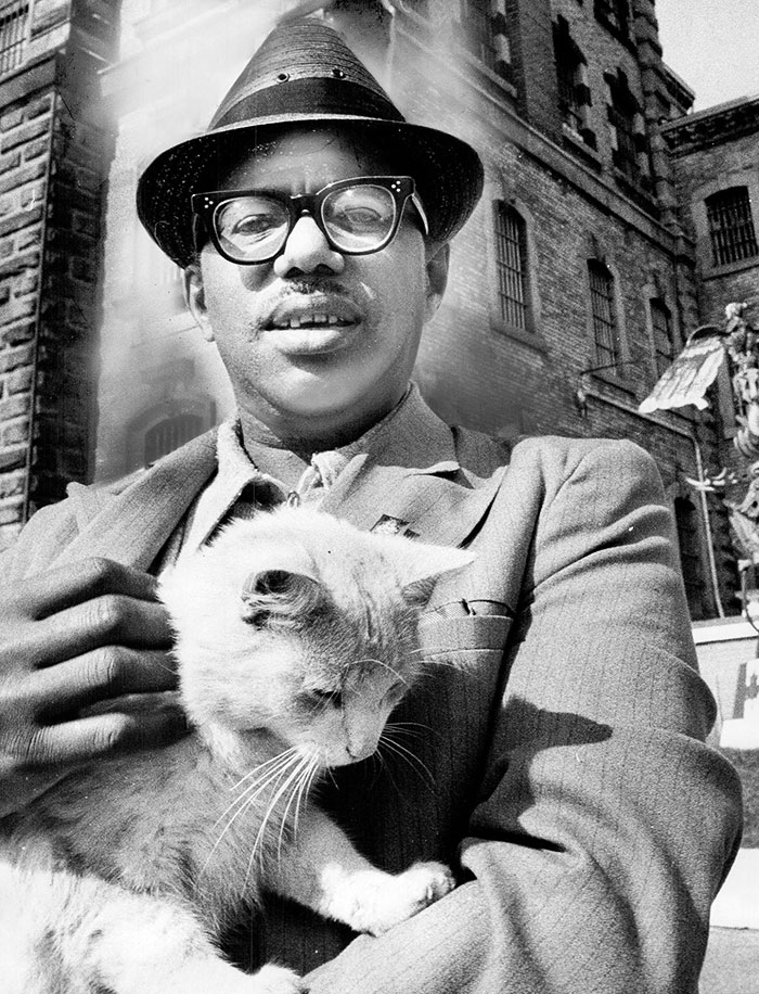 40 Best Vintage Cat Photos To Melt Your Heart 40 Best Vintage Cat Photos To Melt Your Heart