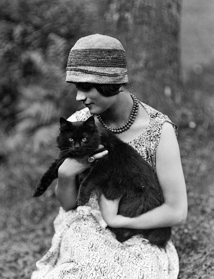 40 Best Vintage Cat Photos To Melt Your Heart 40 Best Vintage Cat Photos To Melt Your Heart