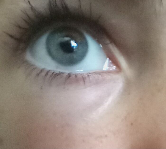 Hey Pandas, Show Us Your Beautiful Eyes (Closed) Hey Pandas, Show Us Your Beautiful Eyes (Closed)