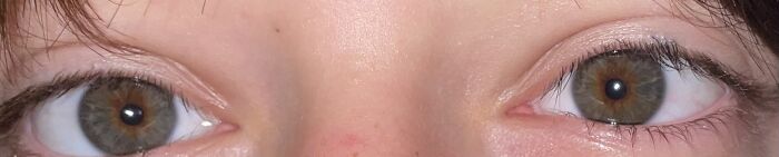 Hey Pandas, Show Us Your Beautiful Eyes (Closed) Hey Pandas, Show Us Your Beautiful Eyes (Closed)