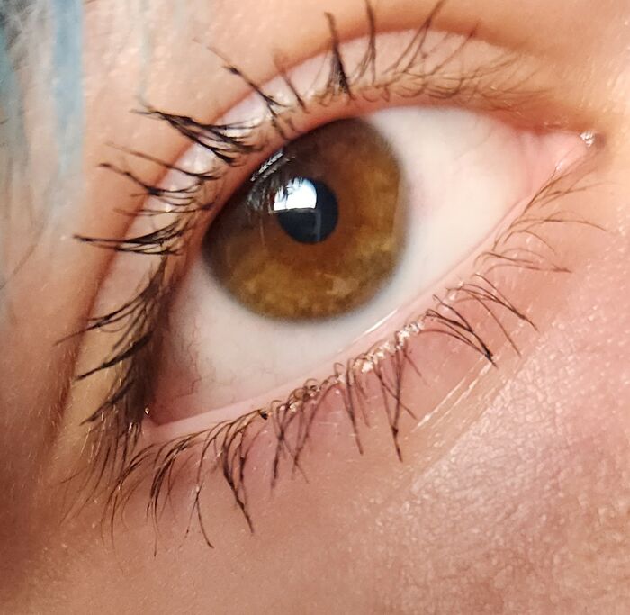 Hey Pandas, Show Us Your Beautiful Eyes (Closed) Hey Pandas, Show Us Your Beautiful Eyes (Closed)