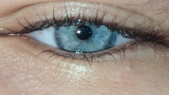 Hey Pandas, Show Us Your Beautiful Eyes (Closed) Hey Pandas, Show Us Your Beautiful Eyes (Closed)