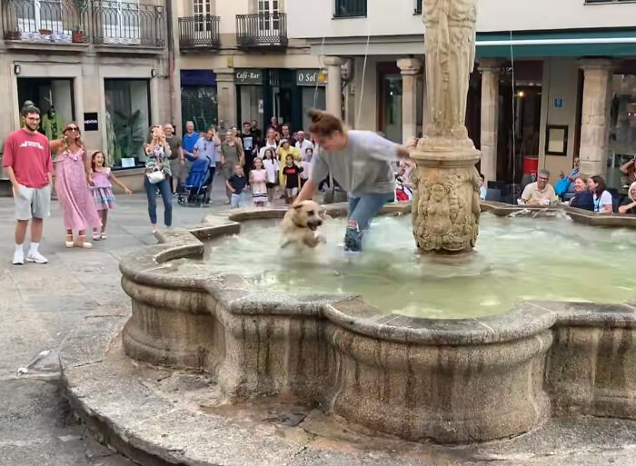 Crowd Can’t Stop Laughing At Dog Frolicking In A Fountain Crowd Can’t Stop Laughing At Dog Frolicking In A Fountain