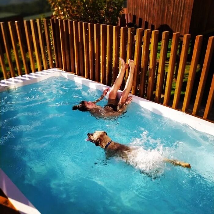 Crowd Can’t Stop Laughing At Dog Frolicking In A Fountain Crowd Can’t Stop Laughing At Dog Frolicking In A Fountain