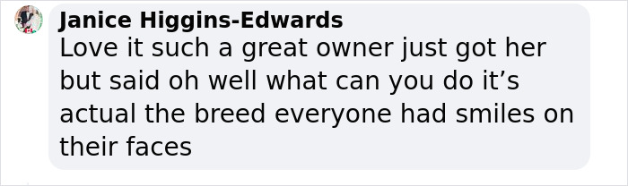 Crowd Can’t Stop Laughing At Dog Frolicking In A Fountain Crowd Can’t Stop Laughing At Dog Frolicking In A Fountain