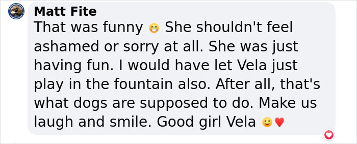 Crowd Can’t Stop Laughing At Dog Frolicking In A Fountain Crowd Can’t Stop Laughing At Dog Frolicking In A Fountain