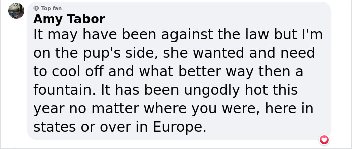 Crowd Can’t Stop Laughing At Dog Frolicking In A Fountain Crowd Can’t Stop Laughing At Dog Frolicking In A Fountain