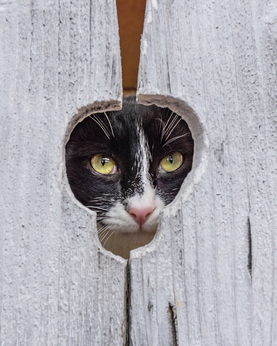 “Framed Moments”: 34 Photos That I Took “Framed Moments”: 34 Photos That I Took