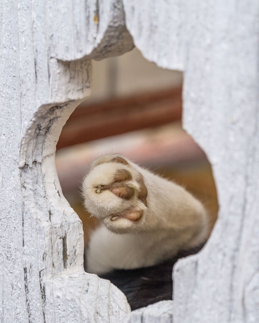 “Framed Moments”: 34 Photos That I Took “Framed Moments”: 34 Photos That I Took