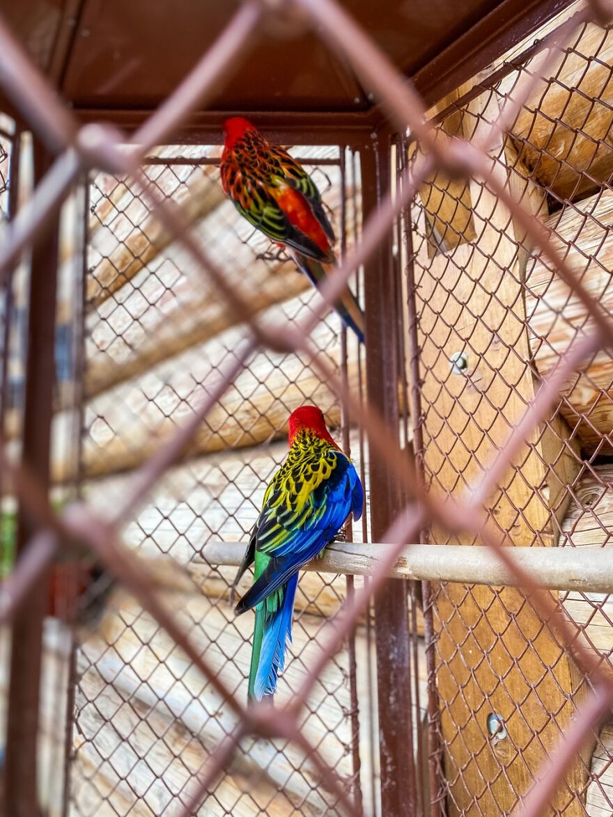 “Framed Moments”: 34 Photos That I Took “Framed Moments”: 34 Photos That I Took