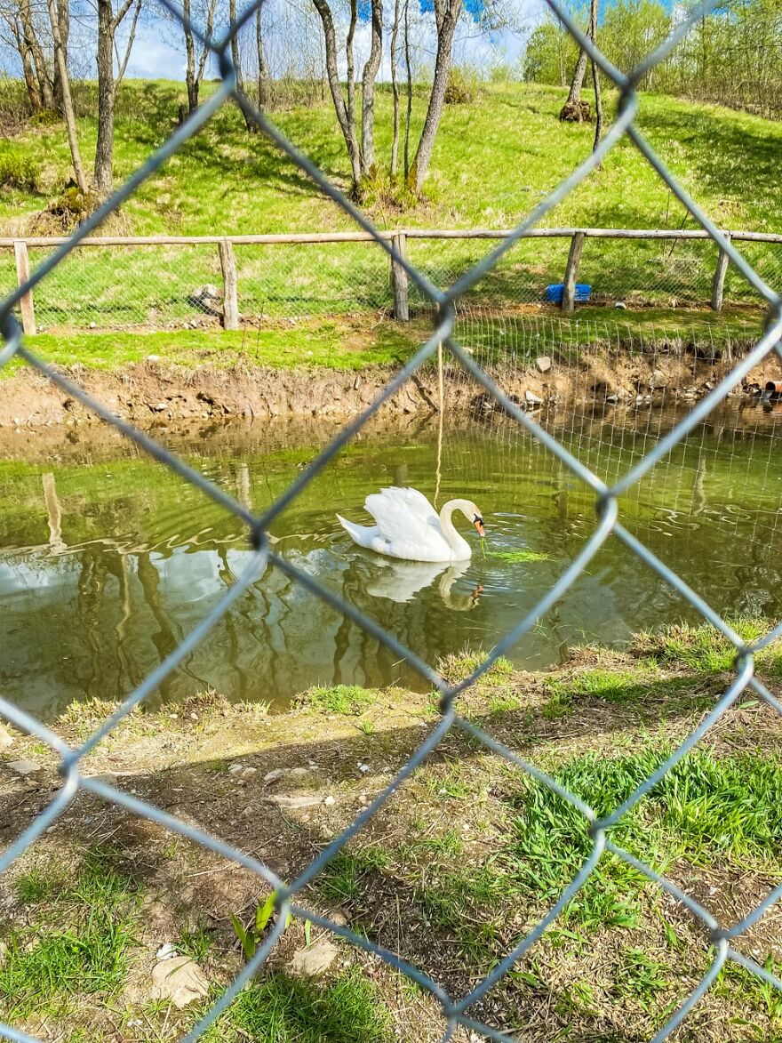 “Framed Moments”: 34 Photos That I Took “Framed Moments”: 34 Photos That I Took