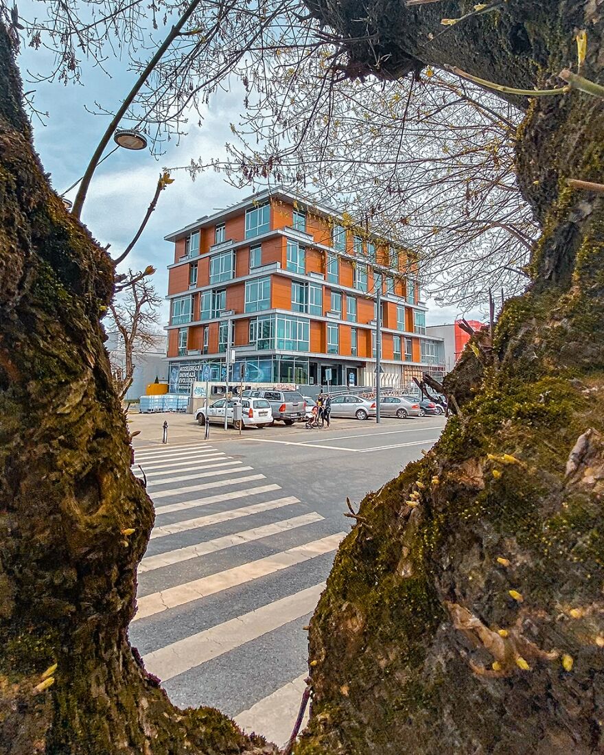 “Framed Moments”: 34 Photos That I Took “Framed Moments”: 34 Photos That I Took