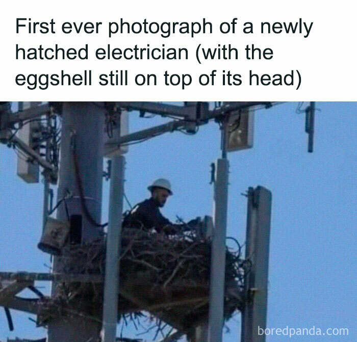 50 Science Humor Jokes That Don’t Require An IQ Of 300 To Get Them 50 Science Humor Jokes That Don’t Require An IQ Of 300 To Get Them