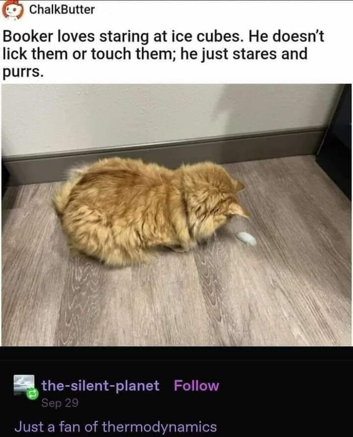 50 Science Humor Jokes That Don’t Require An IQ Of 300 To Get Them 50 Science Humor Jokes That Don’t Require An IQ Of 300 To Get Them