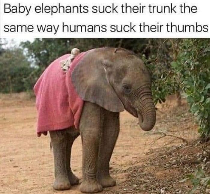 50 Science Humor Jokes That Don’t Require An IQ Of 300 To Get Them 50 Science Humor Jokes That Don’t Require An IQ Of 300 To Get Them