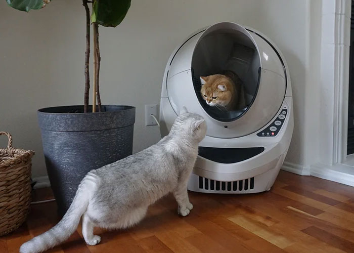 &ldquo;Electrical Bill Dropped By Half&rdquo;: People Share 35 Home Upgrades That Were Worth Every Penny