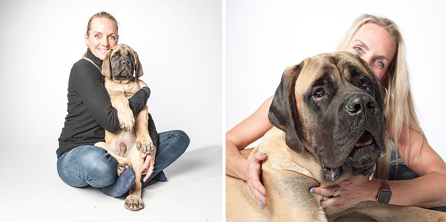 30 Heart-Melting Images Of Pups Growing Old Shown In This Comparison Project By Amanda Jones (New Pics) 30 Heart-Melting Images Of Pups Growing Old Shown In This Comparison Project By Amanda Jones (New Pics)