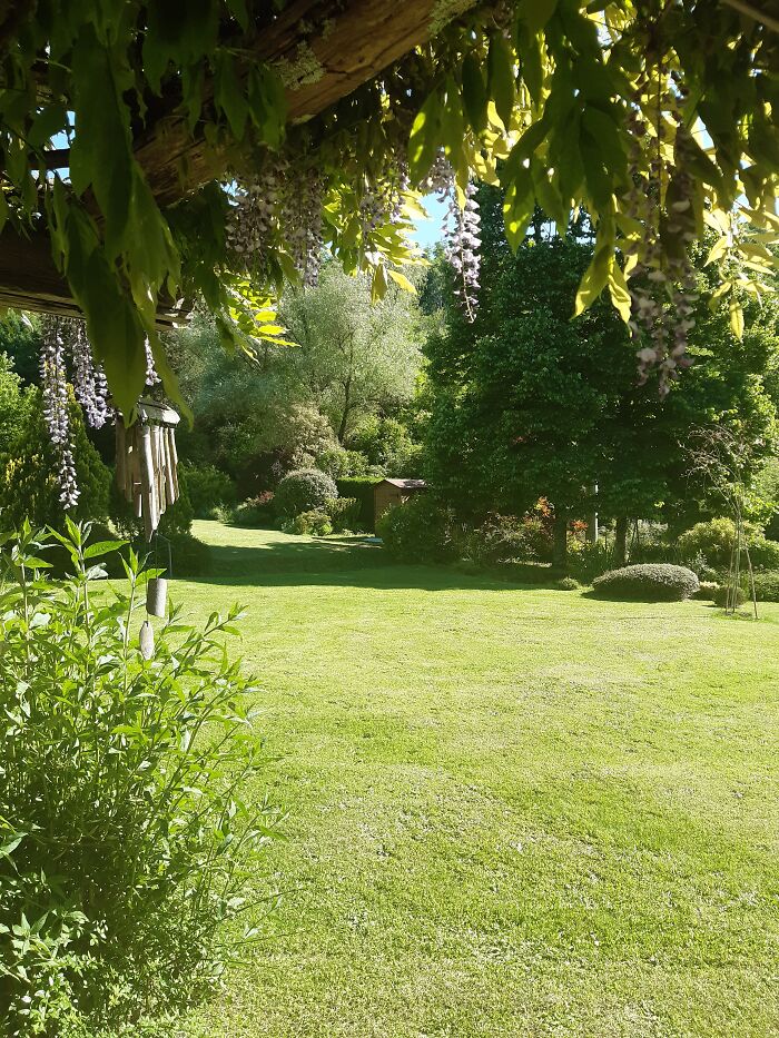 Hey Pandas, Please Show Us A Current Picture Of Your Gardens (Closed)