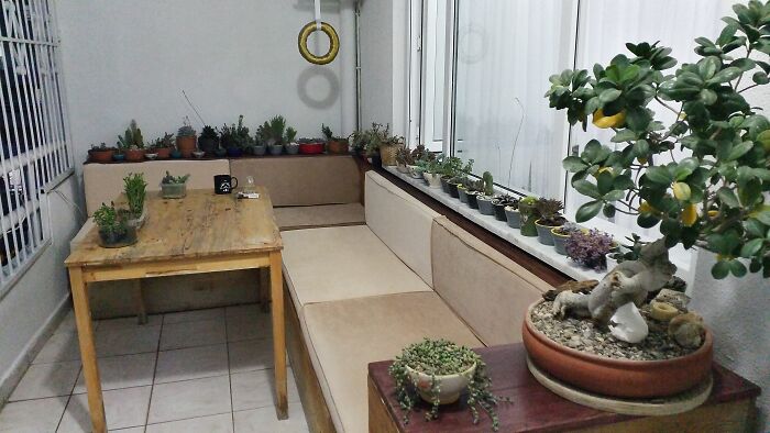 Hey Pandas, Please Show Us A Current Picture Of Your Gardens (Closed)