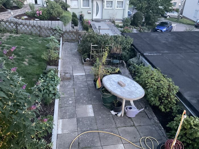 Hey Pandas, Please Show Us A Current Picture Of Your Gardens (Closed)