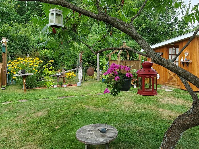 Hey Pandas, Please Show Us A Current Picture Of Your Gardens (Closed)