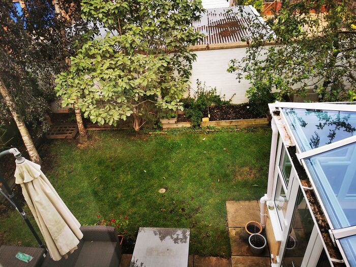 Hey Pandas, Please Show Us A Current Picture Of Your Gardens (Closed)