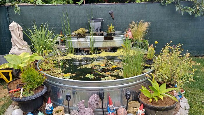 Hey Pandas, Please Show Us A Current Picture Of Your Gardens (Closed)