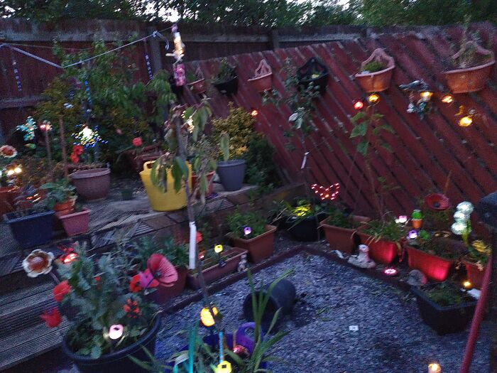 Hey Pandas, Please Show Us A Current Picture Of Your Gardens (Closed)