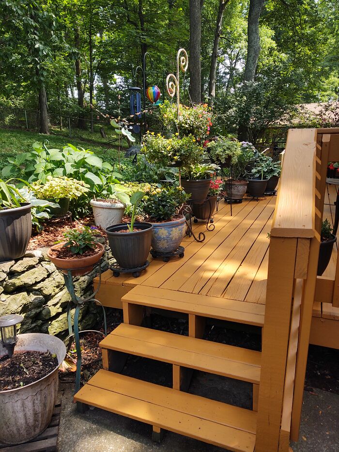 Hey Pandas, Please Show Us A Current Picture Of Your Gardens (Closed)