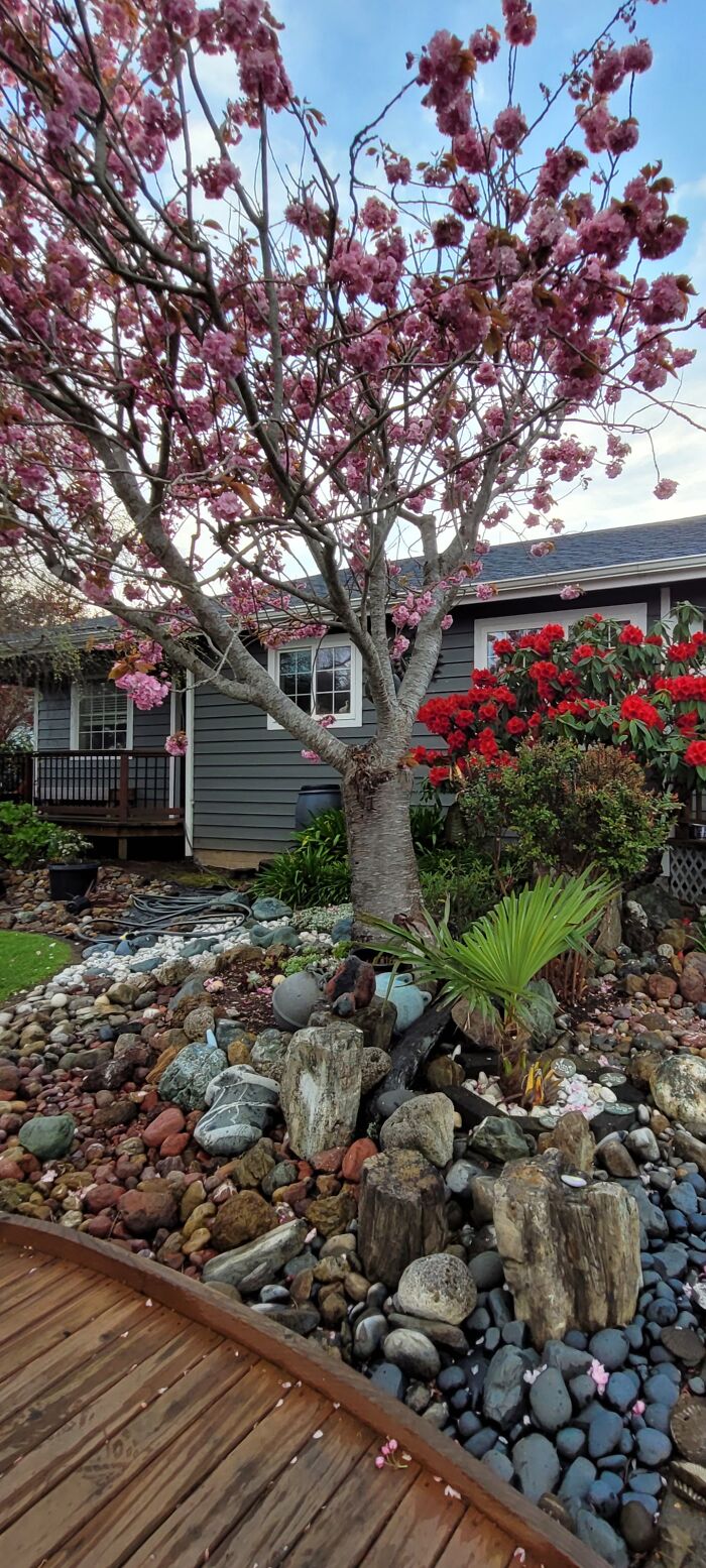 Hey Pandas, Please Show Us A Current Picture Of Your Gardens (Closed)