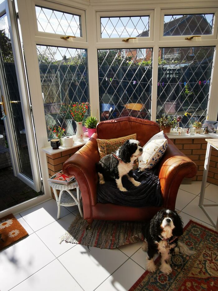 Hey Pandas, Please Show Us A Current Picture Of Your Gardens (Closed)