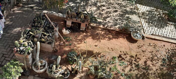 Hey Pandas, Please Show Us A Current Picture Of Your Gardens (Closed)