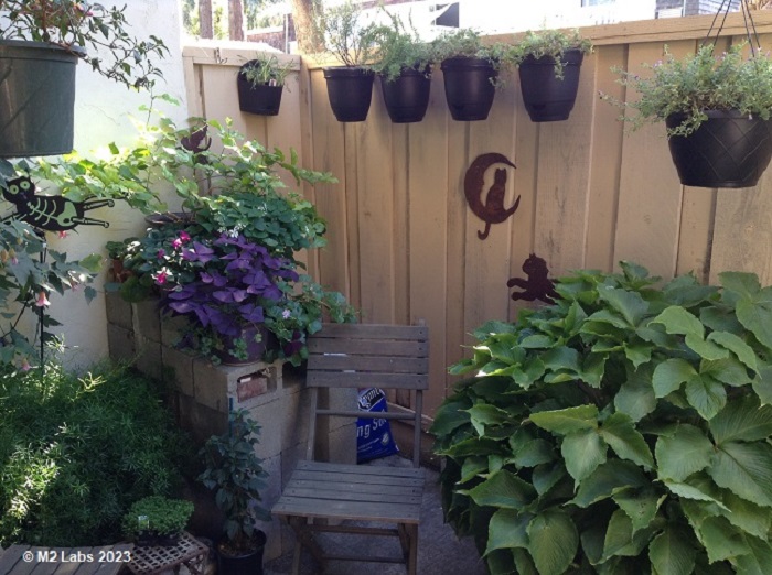 Hey Pandas, Please Show Us A Current Picture Of Your Gardens (Closed)