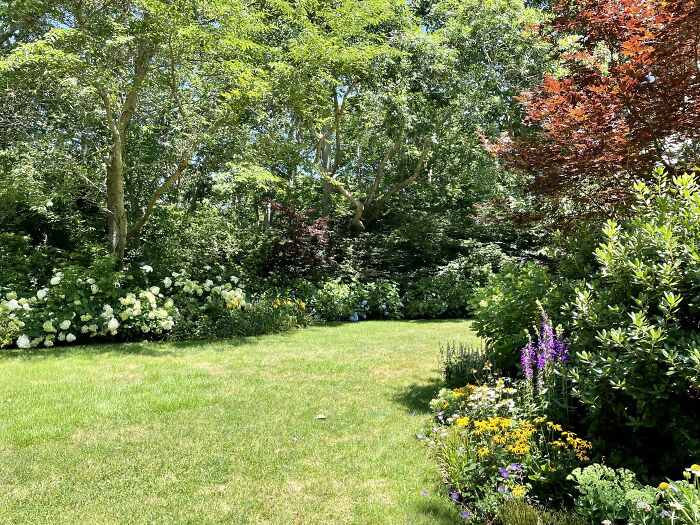 Hey Pandas, Please Show Us A Current Picture Of Your Gardens (Closed)