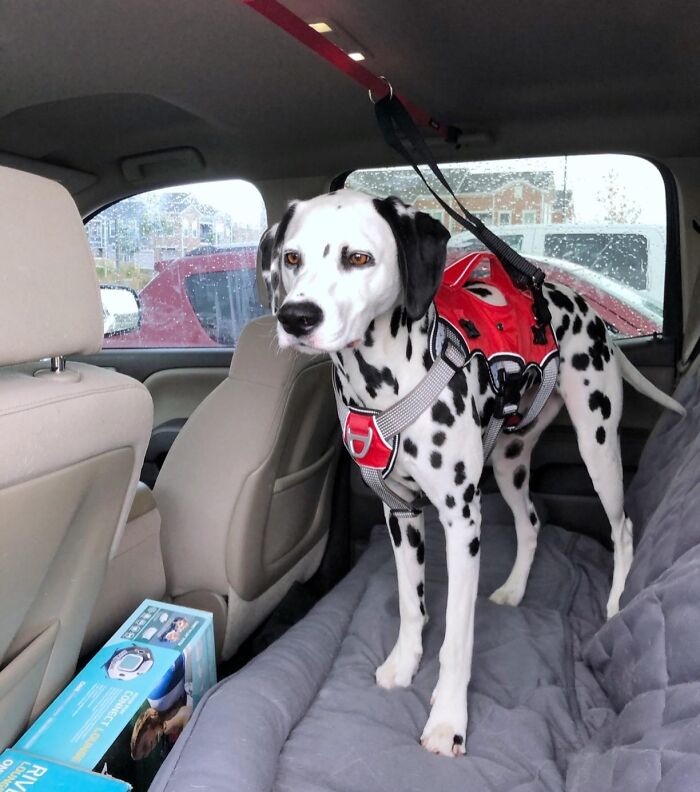 38 Things That Were Designed BY Someone With An Above Average IQ 38 Things That Were Designed BY Someone With An Above Average IQ