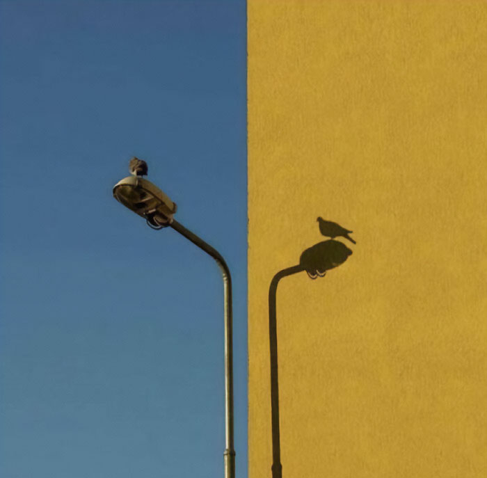 50 Images That Are So Dope, You Could Slap Them On The Cover Of Music Albums 50 Images That Are So Dope, You Could Slap Them On The Cover Of Music Albums