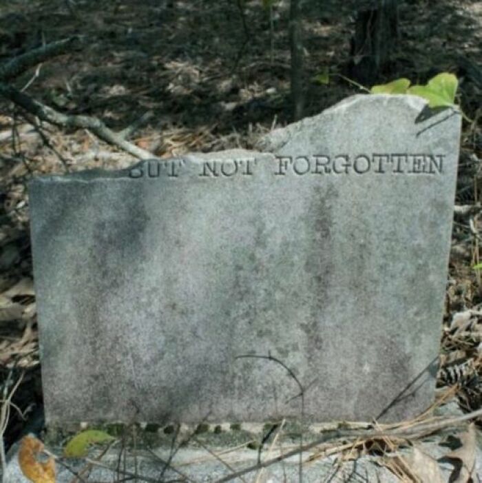 50 Images That Are So Dope, You Could Slap Them On The Cover Of Music Albums 50 Images That Are So Dope, You Could Slap Them On The Cover Of Music Albums