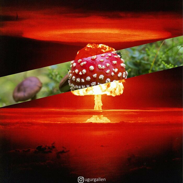 30 Combined Photos By This Digital Artist That Remind Us Of The Two Different Worlds That People Live In 30 Combined Photos By This Digital Artist That Remind Us Of The Two Different Worlds That People Live In