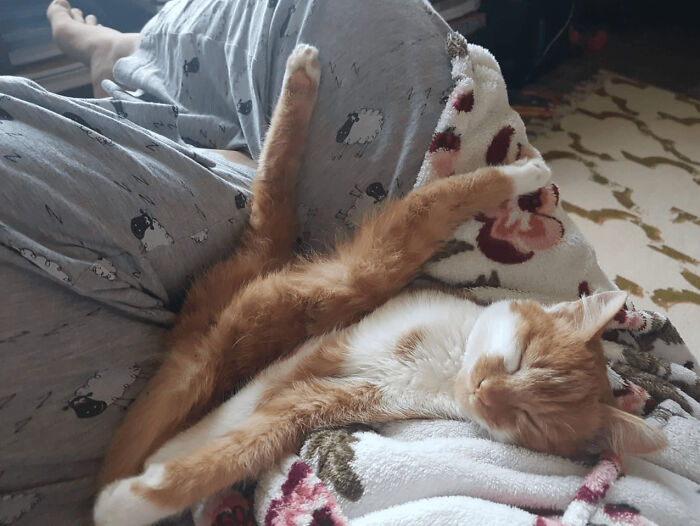 The Animals Who Refuse To Act Normally (22 Pics) The Animals Who Refuse To Act Normally (22 Pics)