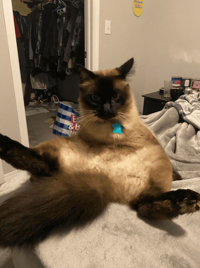 The Animals Who Refuse To Act Normally (22 Pics) The Animals Who Refuse To Act Normally (22 Pics)