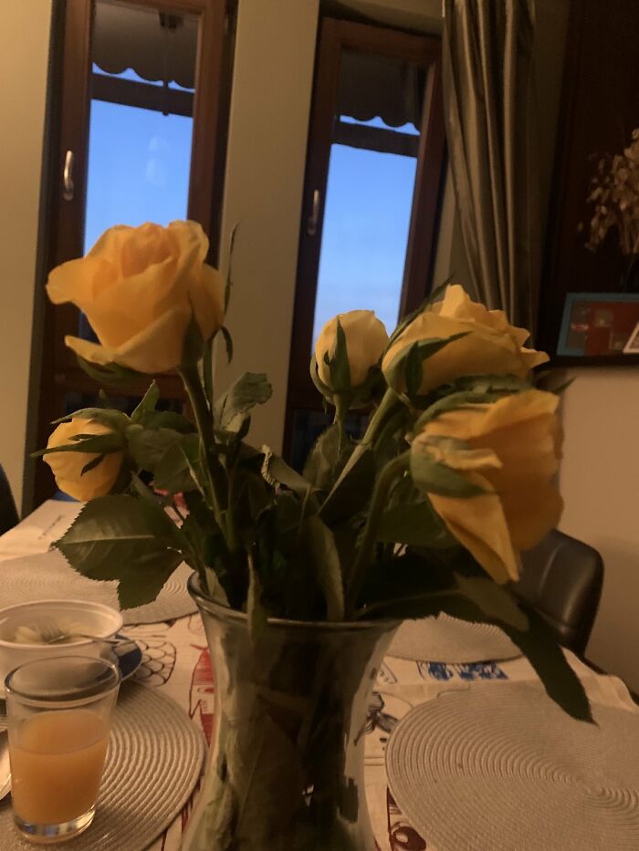 Hey Pandas, Share Some Photos Of Your Birthday Presents (Closed) Hey Pandas, Share Some Photos Of Your Birthday Presents (Closed)