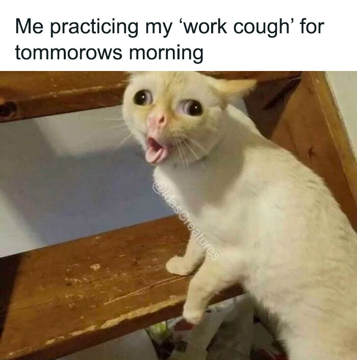 65 Monday Memes To Make Your Monday A Little Less Miserable